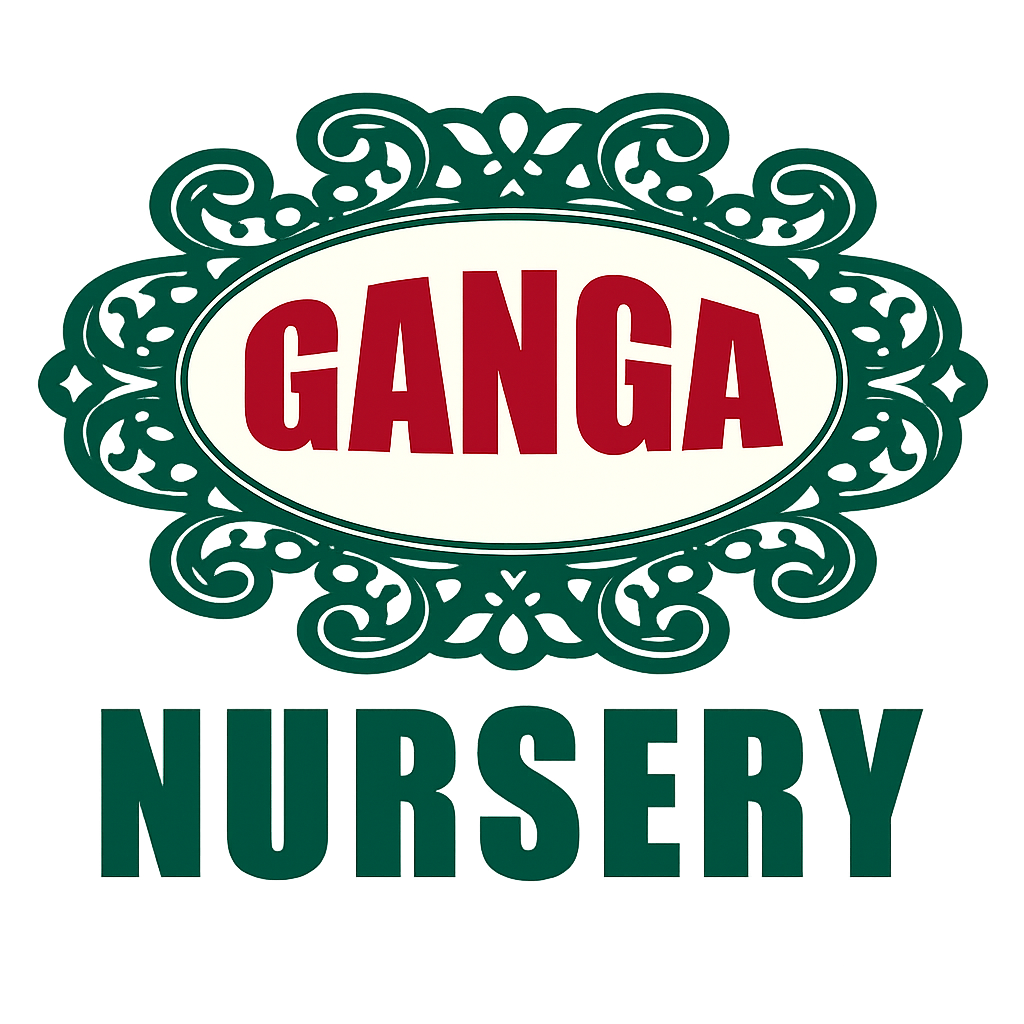 Ganga Nursery