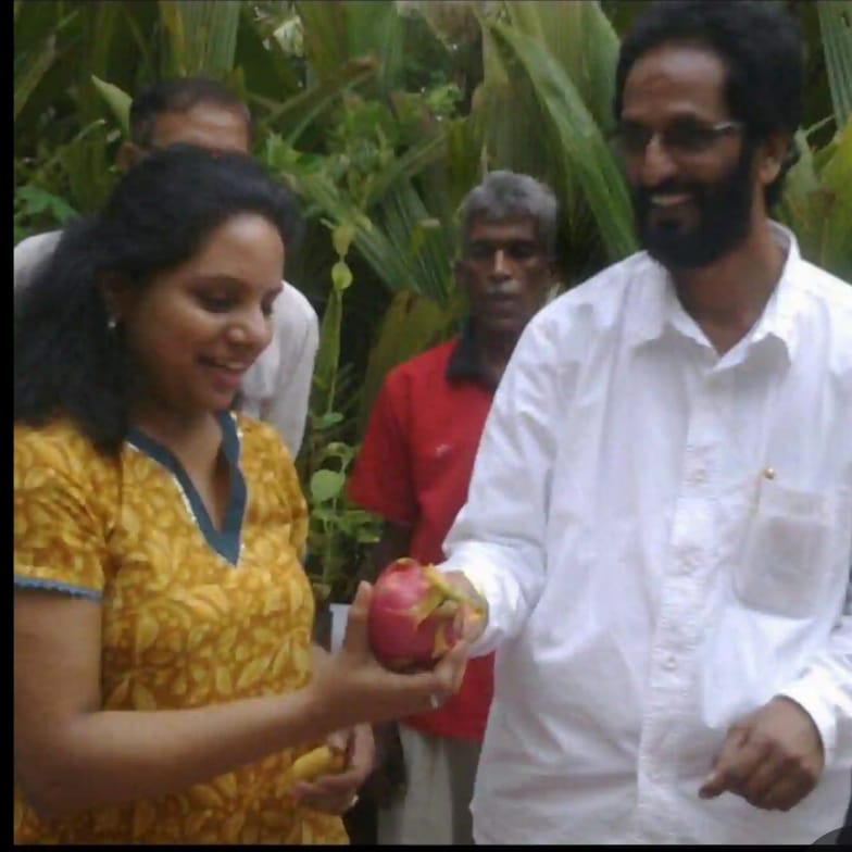 different-section-img